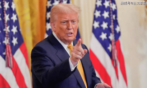 特朗普已指示，国防部正筹备军事行动，美国会对尼日利亚动武吗？